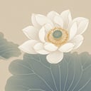 曲老师