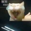 雷斯
