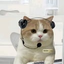 凌光暗切