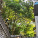 讲课女老师