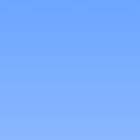 2009肖