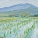 杨丽华原声