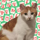 20250109_救火快讯Ai配音！！！