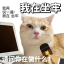 新闻男主持人