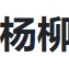 杨柳2
