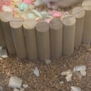 丢丢丢