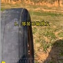 0612-树皮哥