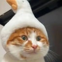 子健