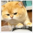 情绪高活泼激动男