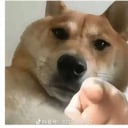 王丽云